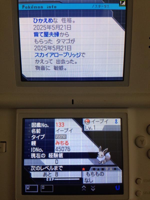 オオタチ Ootati Twitter