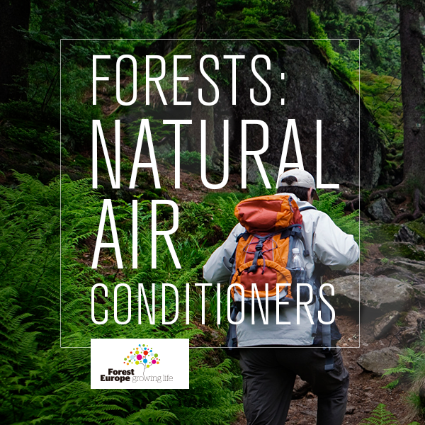 FORESTEUROPE's tweet photo. Forests: Natural air conditioners. http://t.co/ox7bYSoLAf