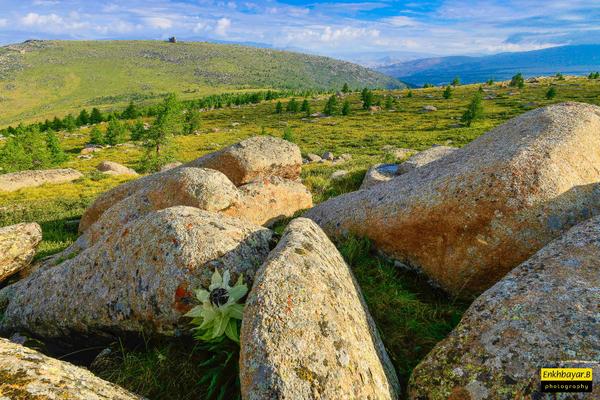 алтангагнуур зурган илэрцүүд