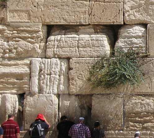 ArchaeoNewsNet's tweet image. #archaeology #heritage: Jerusalem's Western Wall wearing away archaeologynewsnetwork.blogspot.com/2014/08/jerusa…