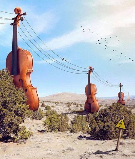 CNicoQc's tweet image. @mymellocello @corinnemorris @Dance4everDANSE