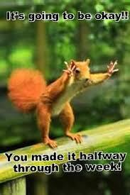anisteluk's tweet photo. #HumpDay http://t.co/uyravtljRA
