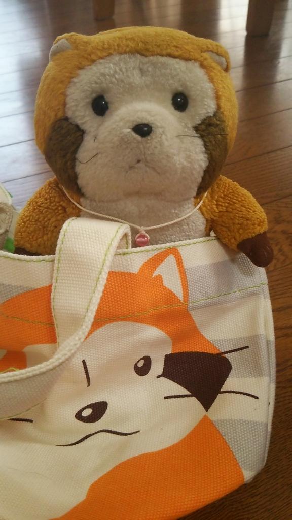 rascal197752's tweet image. ぼ、ボロいとか気のせいミャ(^_^;)ご主人と幼稚園の年少から共に過ごしてるんだミャ！
これからよろしくね〜(ฅ■'ω'■ฅ)