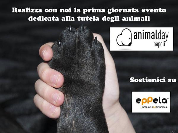 annaruggiero's tweet image. @stellacervasio1 insieme per #animalday napoli eppela.com/ita/projects/9…