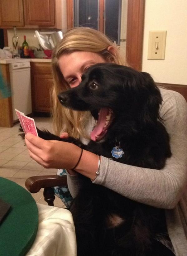 Dog panting. Фрэнк галлагер собака. Why dog licking. Why this dog. Dog why.