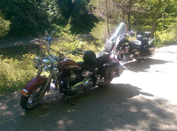 thfd316's tweet image. Morning ride to Turkey Run