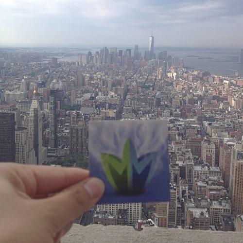 MMJMovement's tweet image. Blazing in #NYC #EmpireStateofMind
#EmpireStateBuilding
#MarijuanaMovement
marijuana-movement.com
#legalizeit #mmj