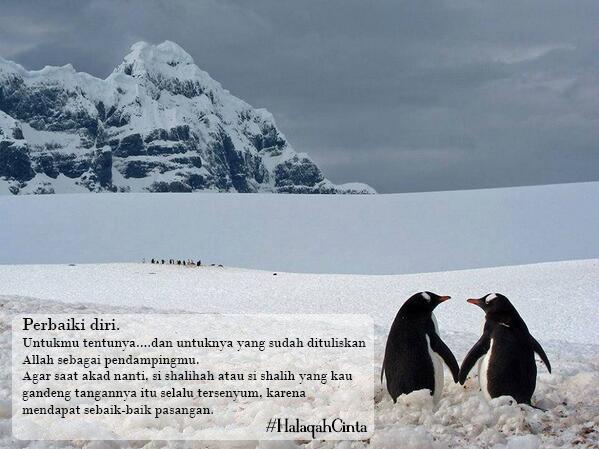 Perbaiki diri.Untukmu tentunya,dan untuknya yg Allah takdirkan menjadi pendampingmu.  Buku #HalaqahCinta