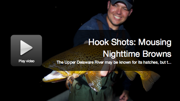 FieldandStream's tweet photo. VIDEO: Check out the newest "Hook Shots." We go after big nighttime #trout with mouse flies. http://t.co/rde0Jiz9iM http://t.co/8Xsc5WooSV