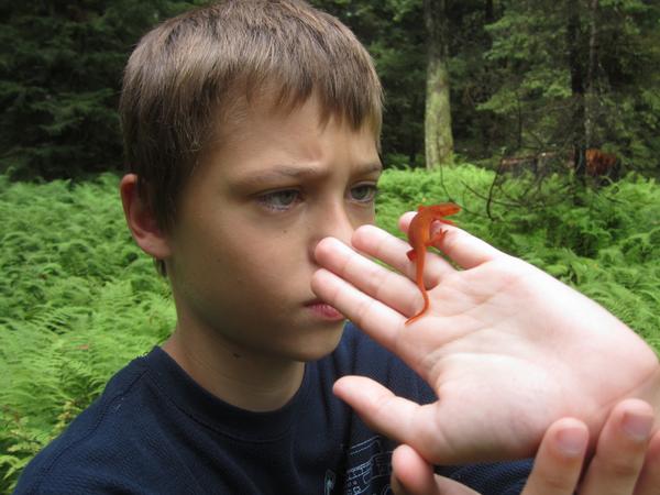 grayquestions's tweet photo. Do newts eat fudge?  #grayquestions  #autism http://t.co/AMw4oin6wW