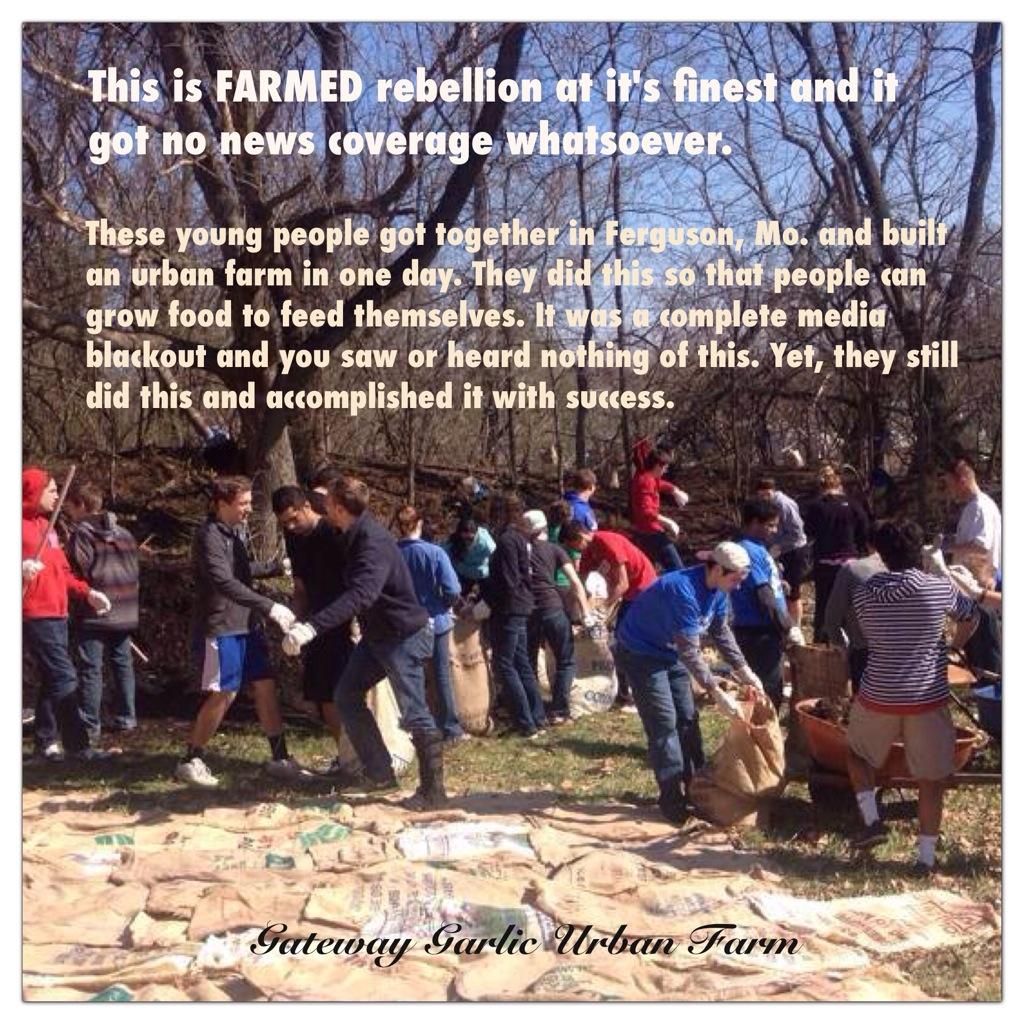 Garden Healing #FarmedUpRising to benefit the #Ferguson Community Aug 17, 2014