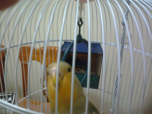 Ceberino's tweet photo. ¡Hora de dormir! http://t.co/jeiLRgkKkA