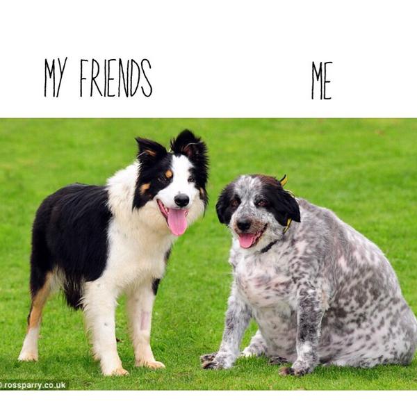 Anartica_W's tweet image. #friendshipproblems