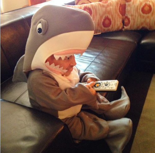 BuzzFeed's tweet photo. .@VerneTroyer in a shark suit is here to make your day http://t.co/covj6sjz6W http://t.co/TTge7W2kuC
