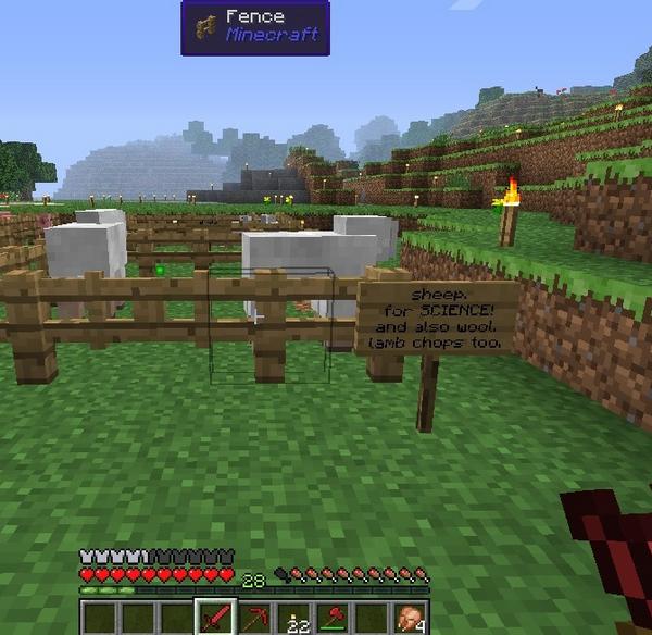 Neveah03's tweet image. omg we found sheep finally! #minecraftwithfriends #randomsigns
