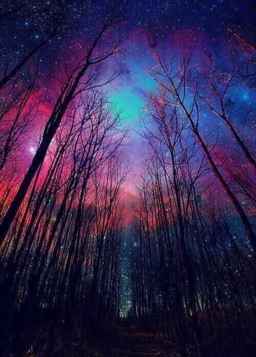 _Paisajes_'s tweet photo. Noche de invierno. http://t.co/C0bMb1WdYF