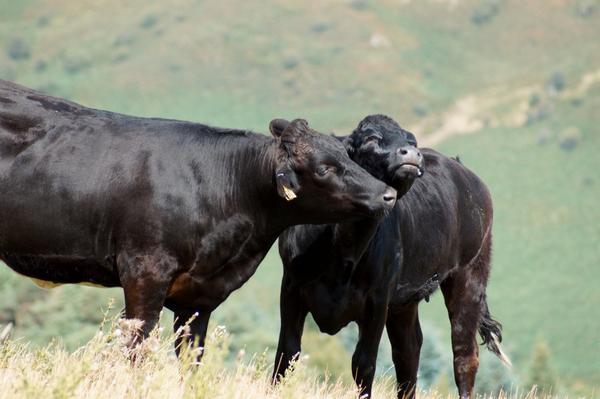 ✨ Jøn ✨ tweet media