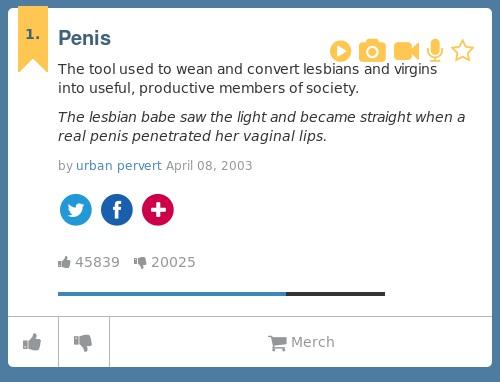 urbandictionary's tweet photo. @SpicyMochaZarry Penis: The tool used to wean and convert lesbians and virgins in... http://t.co/tQedKiRtFe http://t.co/w9eQe7idqp