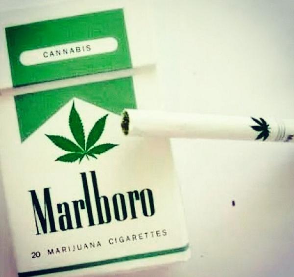 weednsnacks's tweet image. RT if you'd get this instead of hitting up your neighborhood drug dealer