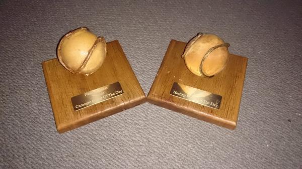 AucklandHurling's tweet photo. Player of the tournament trophies are ready for Sat @chchmckennasgaa  @WellingtonGAA #hurling #camogie #auckland #GAA http://t.co/qNErpEXqat