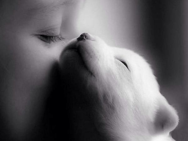 Elverojaguar's tweet photo. http://t.co/JzJ9OZ2LJu