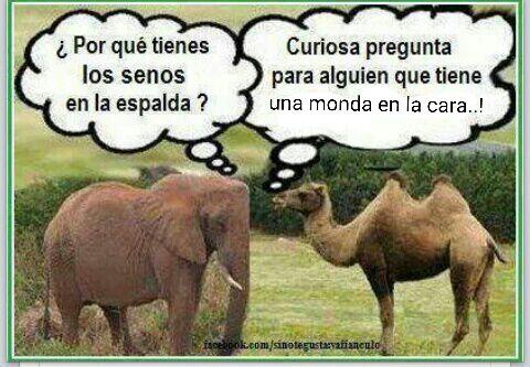 MorenoKocky's tweet photo. @HumorColombiano http://t.co/IyctgbSifZ