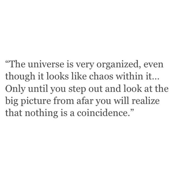 ChantelJeffries's tweet image. Real