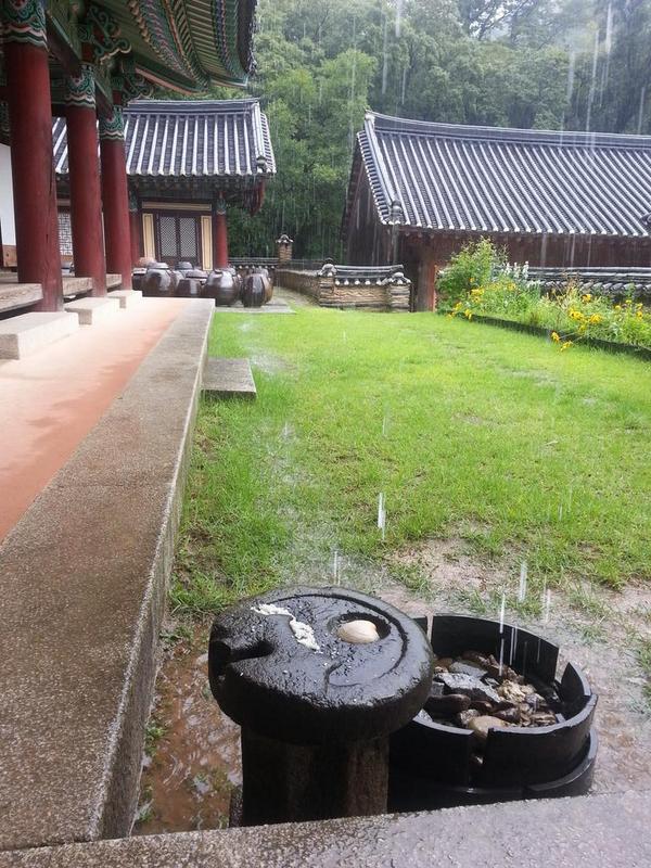 오늘 2일 변도사와 순천 송광사에 들러 무상 주지스님을 만나 차를 얻어 마시고 좋은 말씀 듣고 나왔다
비는 나리고 차 맛이 참 일품이었다