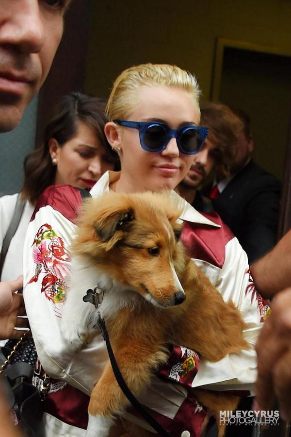 MileySourceNews's tweet photo. New Miley's hairstyle! http://t.co/D6lYX0vG3Z
