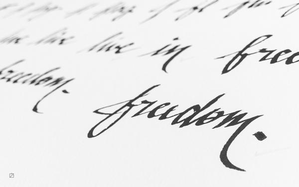 slash_code's tweet image. Under this flag, I live in freedom. #S00999 #SlashCode #Lilith1.0 #fashion #geek