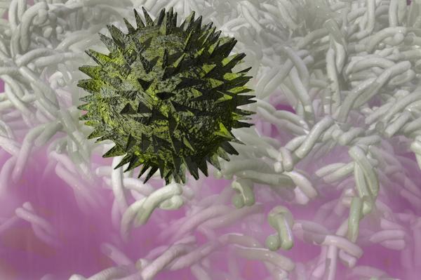 NTLPaperSystems's tweet image. What hidden secrets is your carpet keeping? 
nationalpapersystems.com/blog/what-hidd…