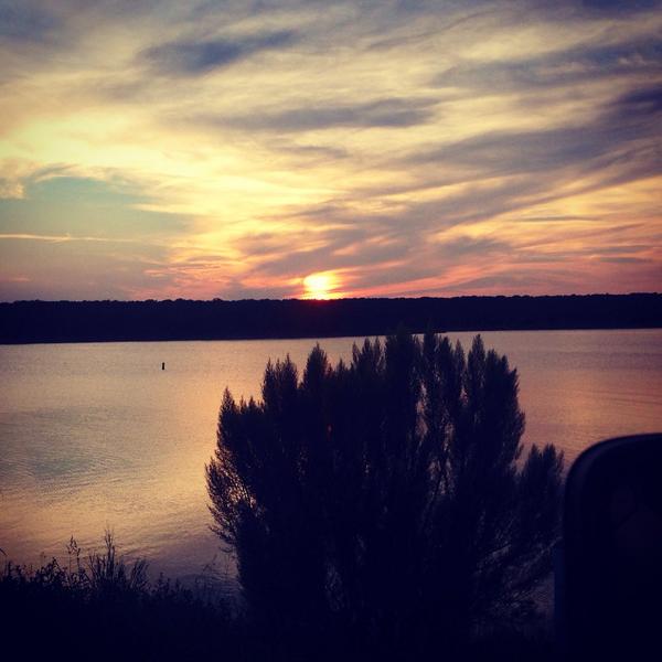 callielprice's tweet image. #rayroberts