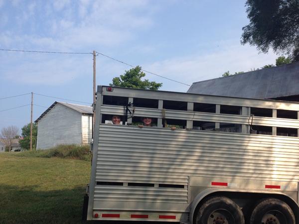 maburns103's tweet photo. Going to the fair, going to the fair, going to the Northwestern Michigan Fair. 🎶 http://t.co/iNyLRfJJU8