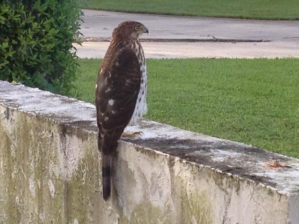 Blaine Bradbury tweet media