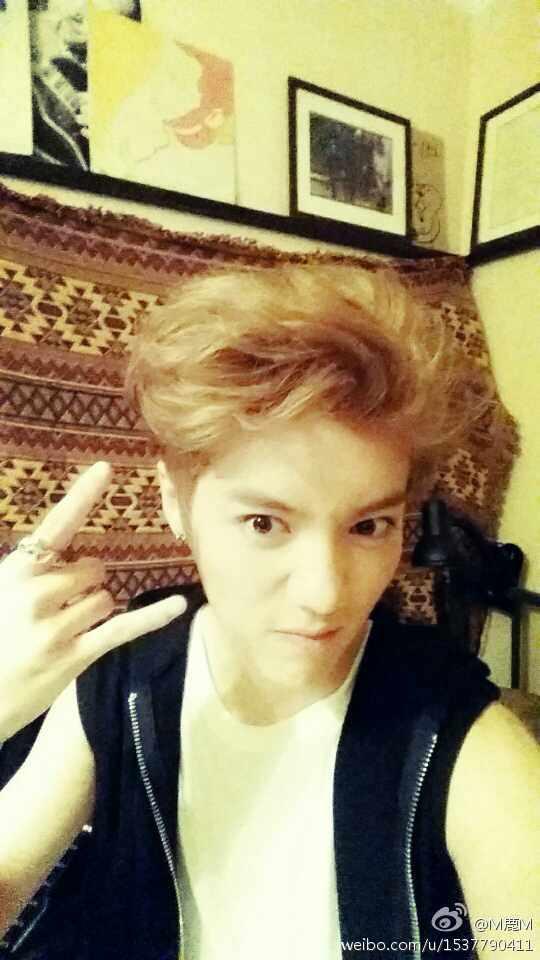 BuCtgPhCMAAVw2T.jpg:large