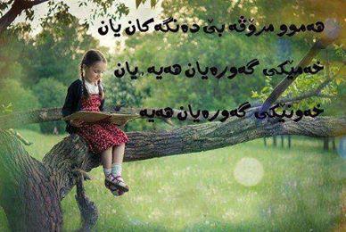 Qadrya Barzani (@qadryas) on Twitter photo 
