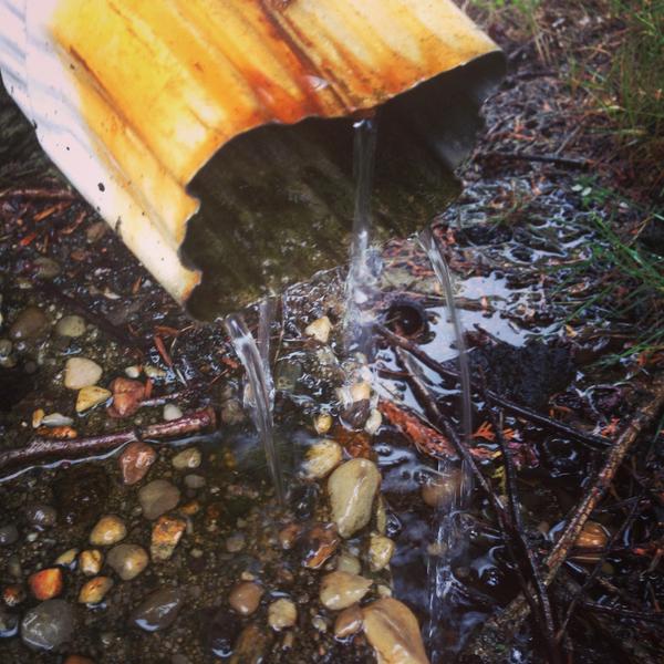 skatespotted's tweet image. Can't skate in this Rain! You're Killing me Smalls! #rain #skateboading #noskate #killingme