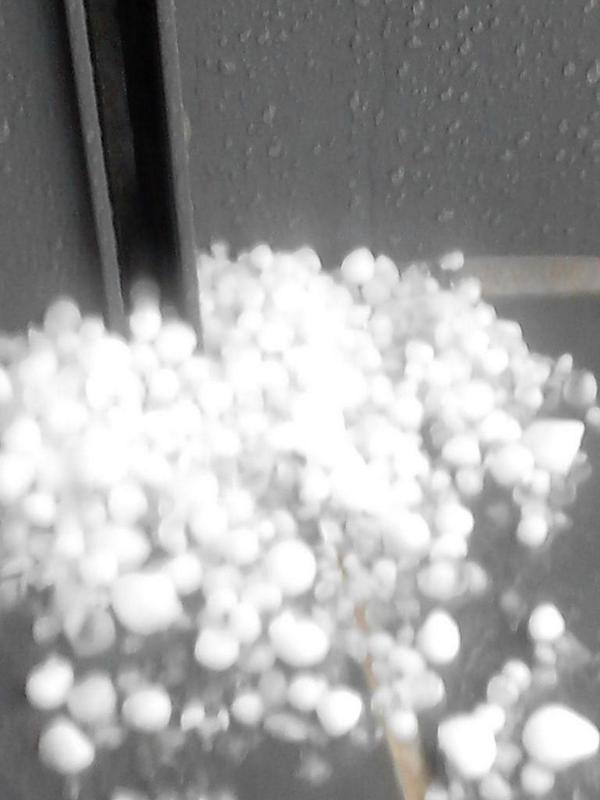 Ibai_CV's tweet image. A las 19:30 en Arkaiate (Vitoria-Gasteiz) @Euskalmet