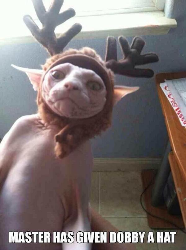 70Nads's tweet photo. #Evil http://t.co/lZdOCd9Nll