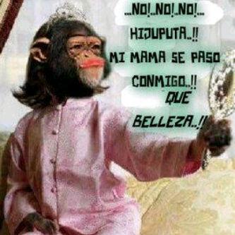 Alejitatoro4's tweet image. 