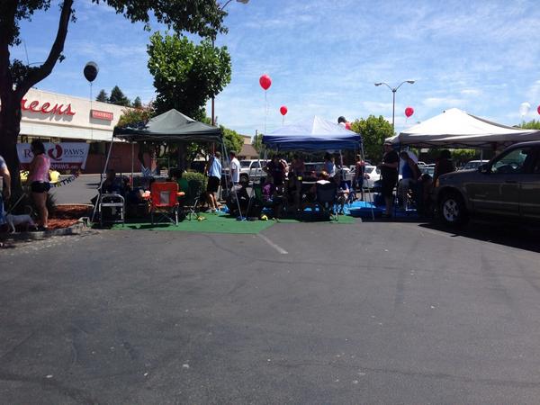 petsmart1398 tweet media