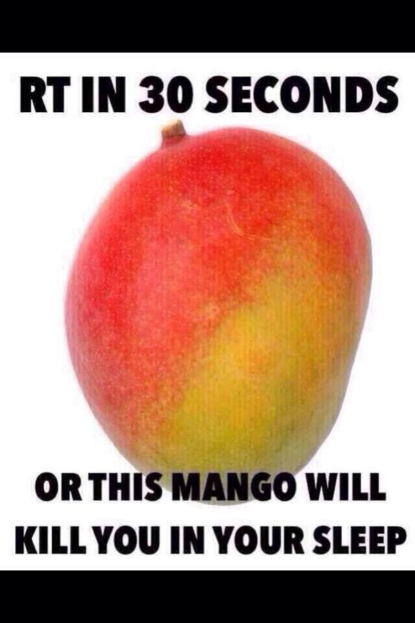 HOLY SHIT DO NOT RISK.