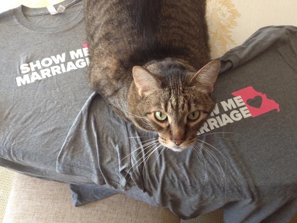 JohnBrase's tweet image. I laid out my nice new tshirts from @PROMOMissouri and Lucky immediately adopted them. #felinesupport