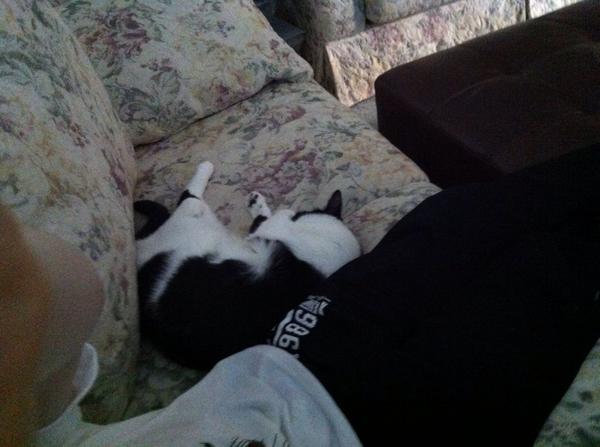 VReflexV's tweet image. Me and my kitty