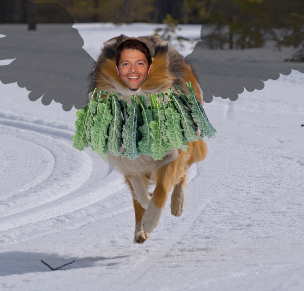 .<a href="/mishacollins/">Misha Collins</a> as Misha Collie, with a kale necklace. you're welcome. #GISHWHESspecieshybridization