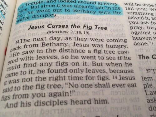 TechnicallyRon's tweet photo. THING IS, JESUS HATES FIGS. God damn autocorrect http://t.co/hLnMpNimNy