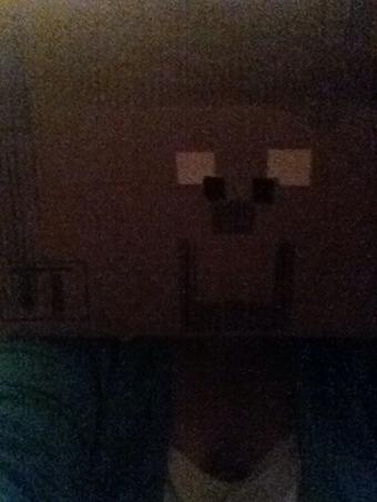 Hi, I'm Steve. Haha...my son is obsessed with #minecraft so he made a Steve costume last week. http://t<a href="/tag/minecraft"class="tags"><span>#minecraft</span></a>