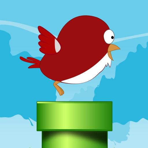 Dariush tweet media