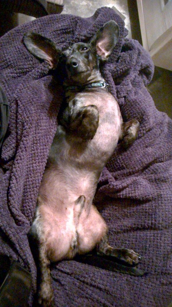 Ashas seems to have mastered the art of chill…