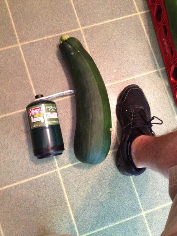 BrianIsTheKid's tweet photo. Baseball bat sized zucchini. Crazy. http://t.co/Y6xyRi8MXp